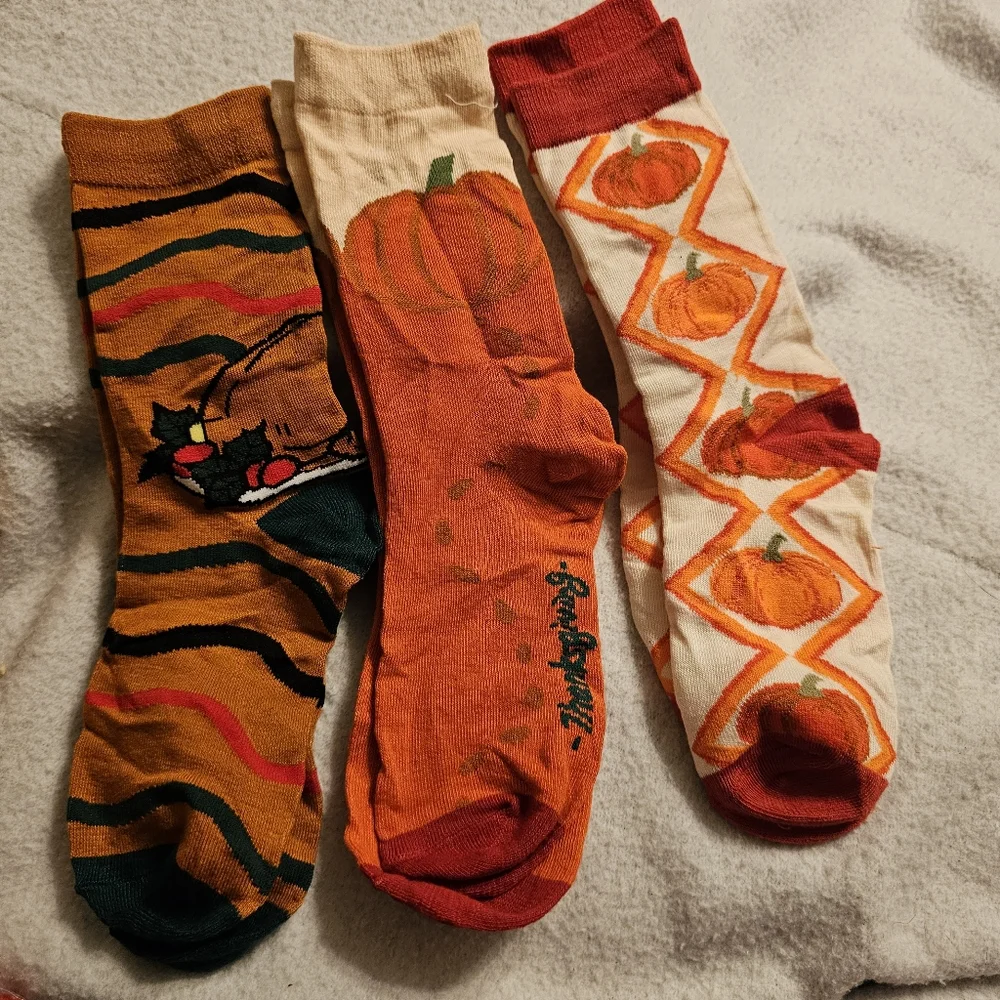 Set Of Three Fall Thanksgiving Pumpkin New Socks